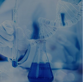 Special cell transfection reagent
