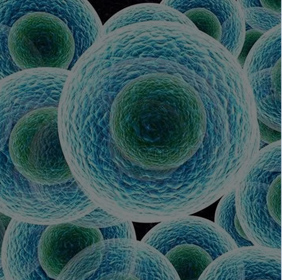 Cationic polymer raw materials